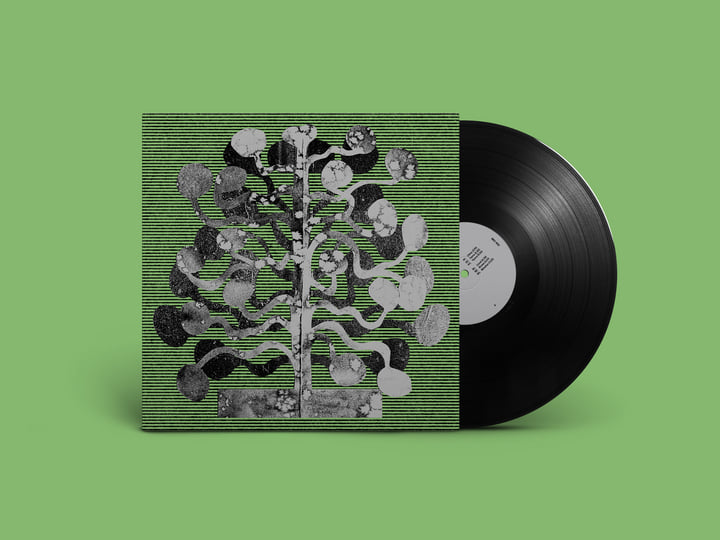 YUCCA | Church Andrews & Matt Davies