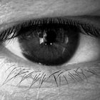 enkaytee thumbnail