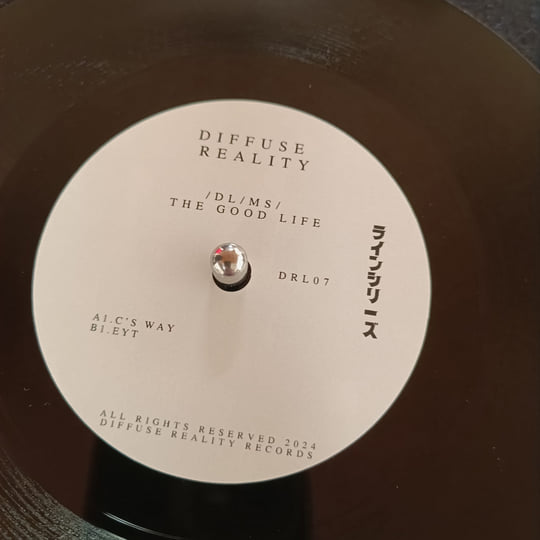 DL/MS/ - The Good Life [Vinyl] | Diffuse Reality Records