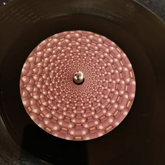 DL/MS/ - The Good Life [Vinyl] | Diffuse Reality Records
