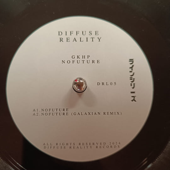 Gkhp - Nofuture - incl. remix by Galaxian [Vinyl] | Diffuse