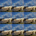gjj1965 thumbnail