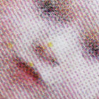 Tea Ktty thumbnail