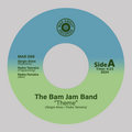 The Bam Jam Band image