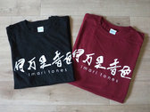 Imari Tones T-shirts (Band logo) Edition2 photo 