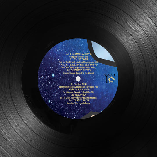 Rebirth 10 compiled by Larry Heard aka Mr. Fingers | Various
