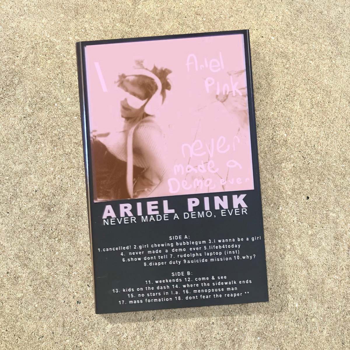 Never Made A Demo, Ever | Ariel Pink | Dark Side Family Jams
