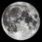 luna thumbnail