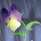 metalpetalsounds thumbnail