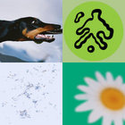 ashhh0202 thumbnail