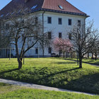 veronikavj thumbnail