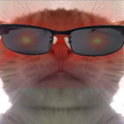 stoneycat thumbnail