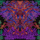 High on Darkness thumbnail