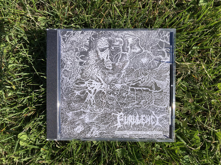 Transcendent Unveiling of Dimensions | Purulency