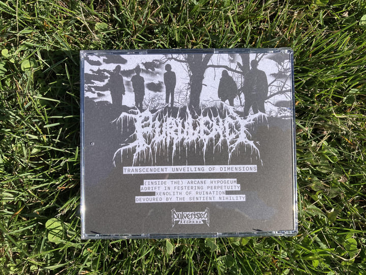 Transcendent Unveiling of Dimensions | Purulency