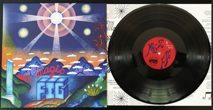 Magic Fig | Magic Fig