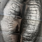 beate111 thumbnail