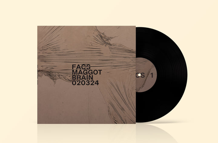 Maggot Brain 020324 | FACS