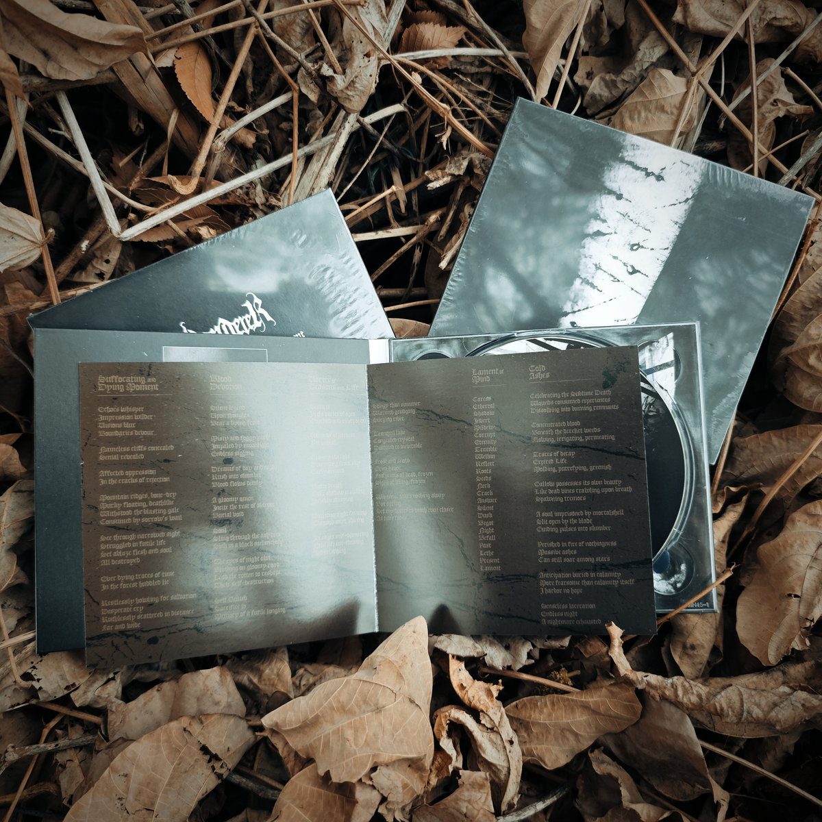 Vestige | Wanderer