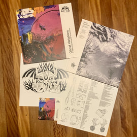 'A Night Mongrel's Guide To Pareidolia' LP, image 1