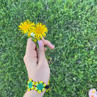 Sunflower thumbnail