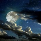nightly--- thumbnail