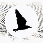 TurnerScreen thumbnail