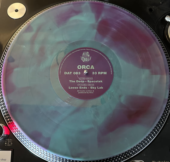 THE SKULL DISK NATURE TONES × DAMNGOOD ClassySkulls_Roses.jpg?v=