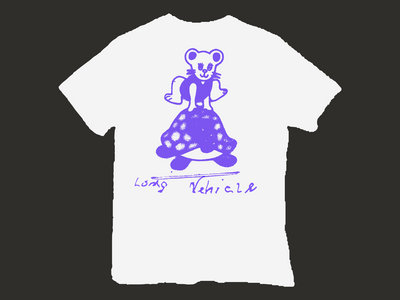totally rad! (mouse jumpy over turtle) Tee main photo
