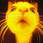 finngotsocks thumbnail