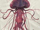 Deadpeach's Limited Edition Jellyfish Tees! photo 