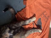 Ecology:Homestones  "Halloween Orange R3" t-shirt photo 