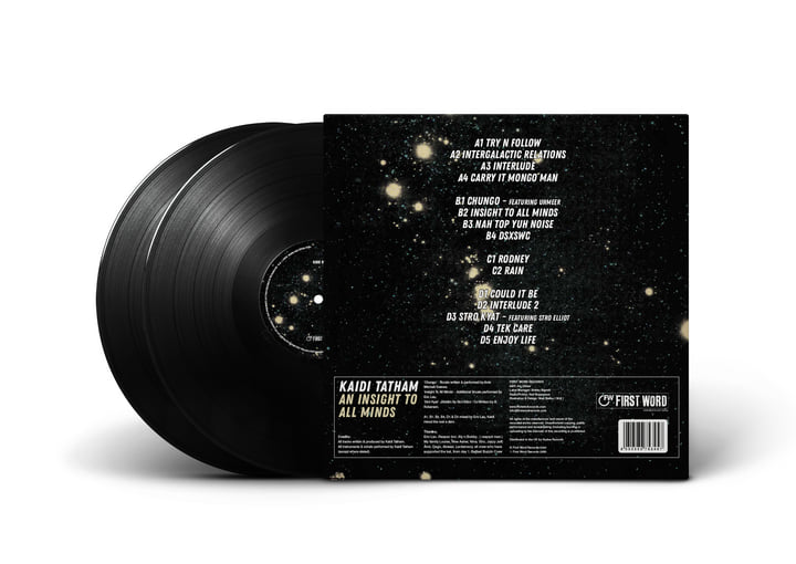 洋楽 Kaidi Tatham an insight to all minds LP An Insight To All Minds | Kaidi Tatham