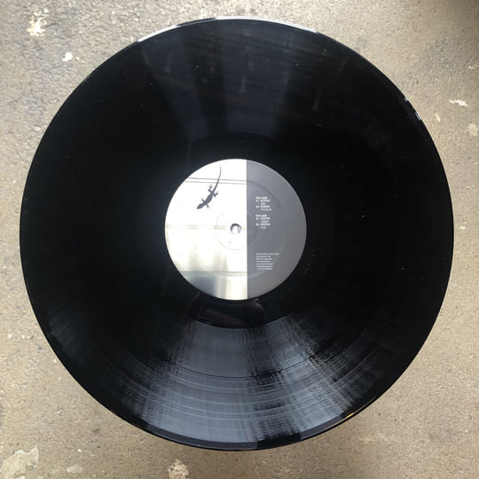 The Bulb EP | Müzmin | Planet Rhythm