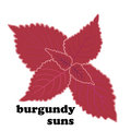 burgundy suns image