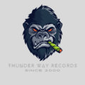 Thunder Way Records image