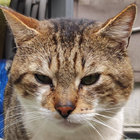 arthur-dias thumbnail