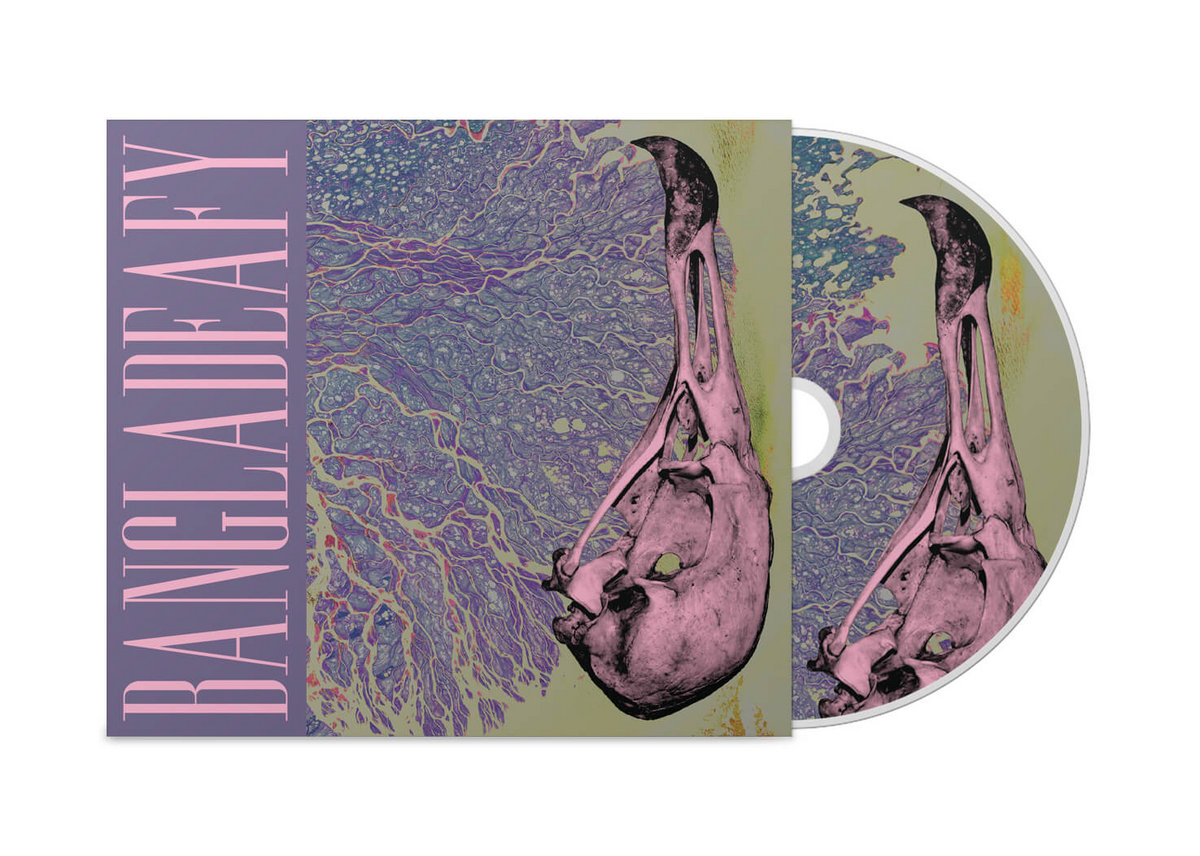 Paradise クラウドファンディング　録り下ろしCD レシピBOOK Paradise クラウドファンディング 録り下ろしCD レシピBOOK