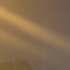 y.wald thumbnail