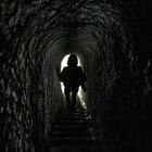 666ratonslaveurs thumbnail