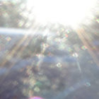 seb thumbnail