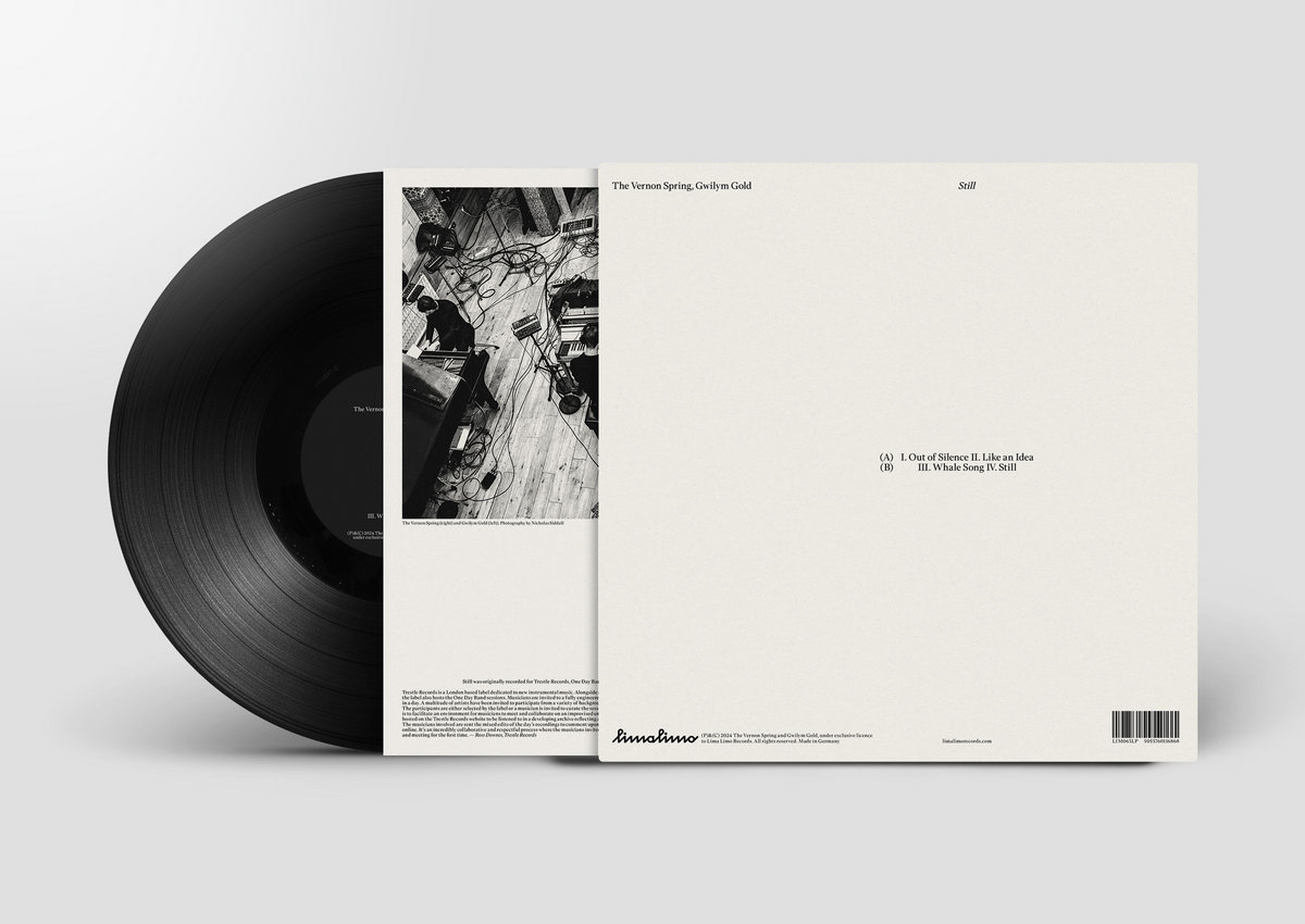 The Vernon Spring / Still アナログレコード 新品 BEAMS RECORDS（ビームス レコーズ）【LP】The Vernon Spring