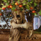 wassail thumbnail