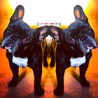 davefetch thumbnail