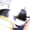 豪2LP Various Searchlight Moonbeam ES032 Efficient Space 未開封 /00520 V.A. / SEARCHLIGHT MOONBEAM (2LP)