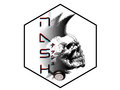 Nash image