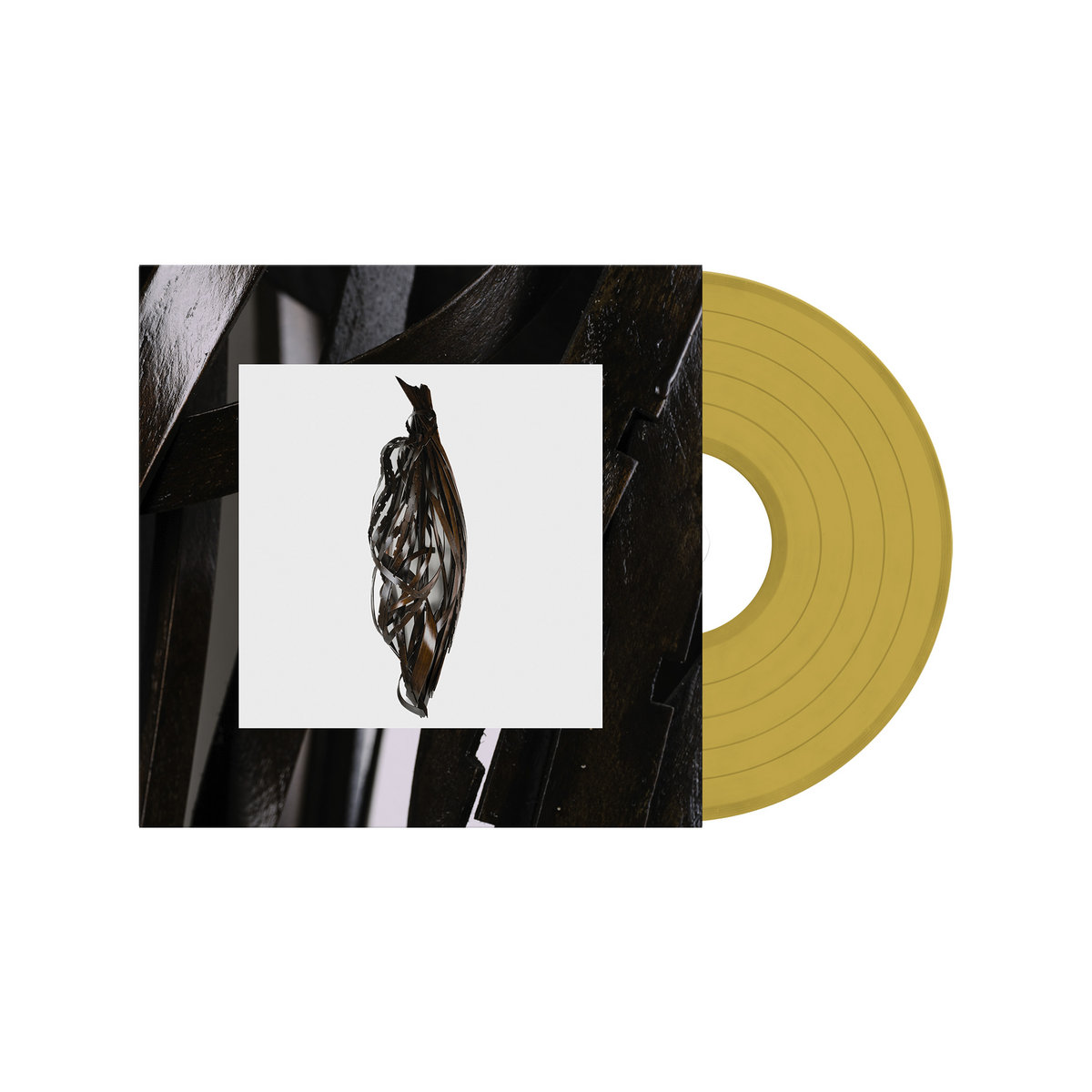 Interesting Decisions Into It. Over It. Songs (2020 2023) Into It