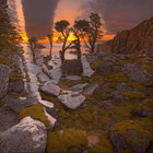 cordyceps thumbnail