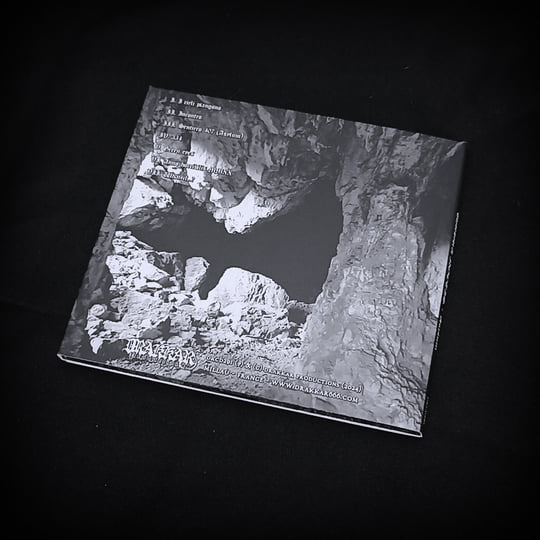 Asylum | Umbra Noctis | Viking Digital Music Distribution