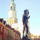 0d1n thumbnail